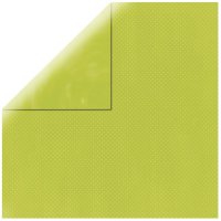 Scrapbookingpapier Double Dot, 30,5x30,5cm, 190g/m2, maigrün