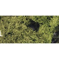 Islandmoos, Beutel 1 kg, h.grün