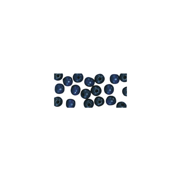 Holzperlen FSC 100%, poliert, 6mm ø, SB-Btl 115Stück, d.blau
