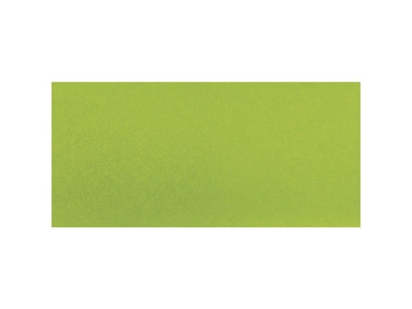 Seidenpapier, lichtecht, 50x75cm, 17g/m², farbfest, SB-Btl 5Bogen, hausergrün hell