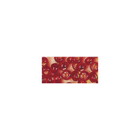 Rocailles, 2,6 mm ø, mit Silbereinzug, Dose 16g, rot