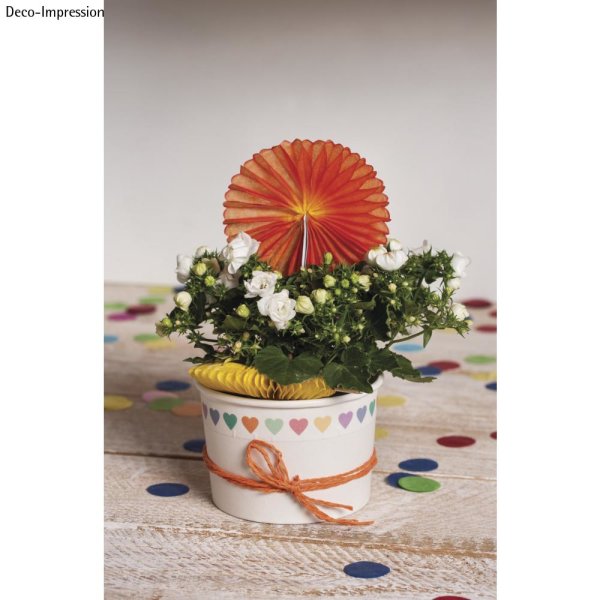 Deko Picker Rosette, 8cm , 14cm, farblich sortiert, SB-Btl 8Stck