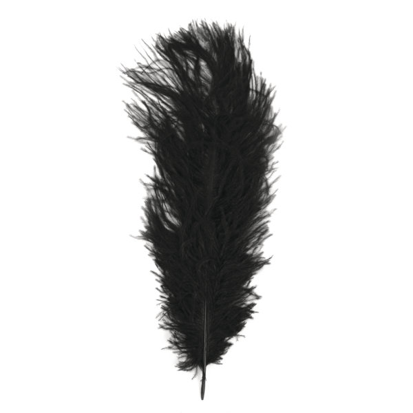 Straussenfeder, 30 cm, SB-Btl. 1 Stück, schwarz