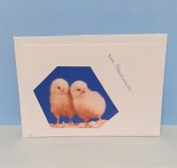 Karte …zum Nachwuchs… / Kücken