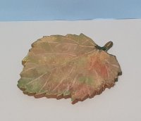 Herbstblatt (grün-braun)