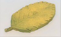Herbstblatt (grün-gelb)