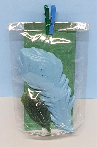 Handseife / Federn-Set blau-grün