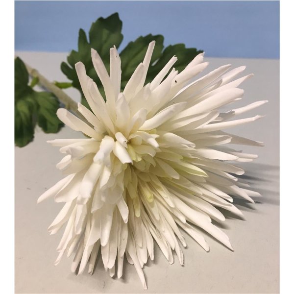 Chrysantheme, 59cm, weiß