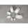 Motivstanzer: Oval mit Zierrand, Breite: 4,45 cm, (1 3/4)