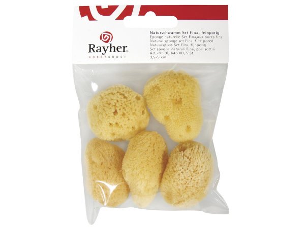 Naturschwamm Set Fina, feinporig, 3,5-5 cm, SB-Btl. 5 Stück