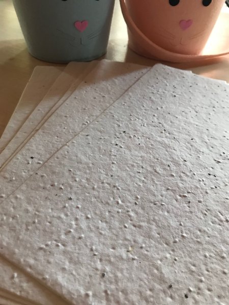 Saatgutpapier A4 Blumenmischung