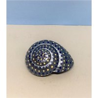 Schnecke blau-beige