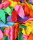 Let’s Celebrate Dekoration: bunte Luftballone 100 Stück, ca. ø 30 cm