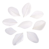 Federn geschnitten, 5-6cm, SB-Btl 36Stück, weiss