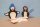 Pinguine auf Eisscholle