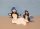 Pinguine auf Eisscholle
