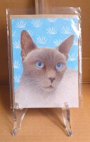 Grusskarte Katze (blaue Augen)