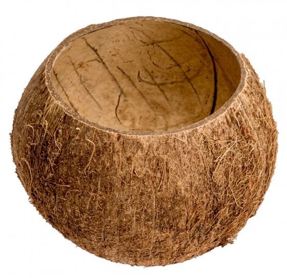 Kokos Becher 10-13 cm