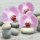 Paper + Design Orchids on stones Servietten