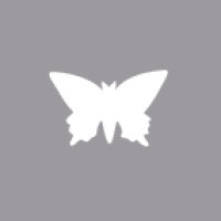Motivstanzer: Schmetterling, 1,6cm ø, (5/8), SB-Blister 1Stück