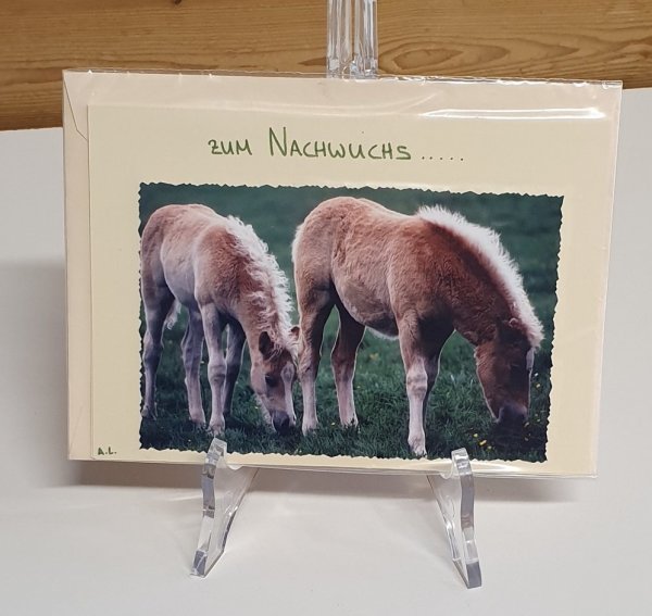 Karte Nachwuchs Fohlen