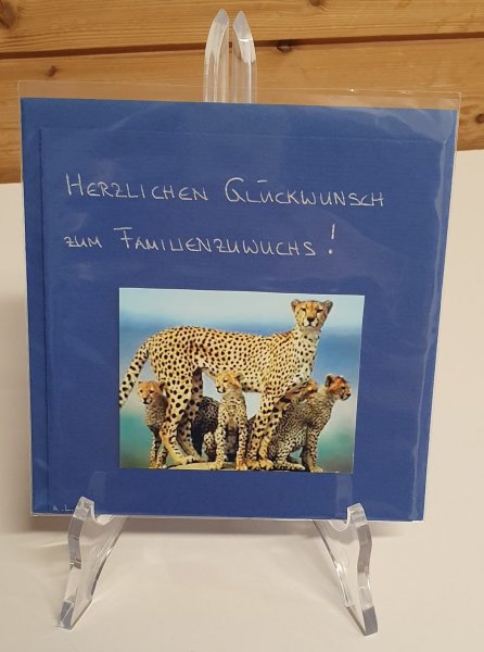 Karte Nachwuchs Gepard-Familie