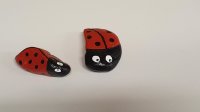 Steinkäfer 3-5 cm