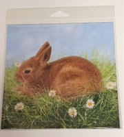 Serviette Hase 5-er Set