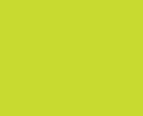 A0030 Lime