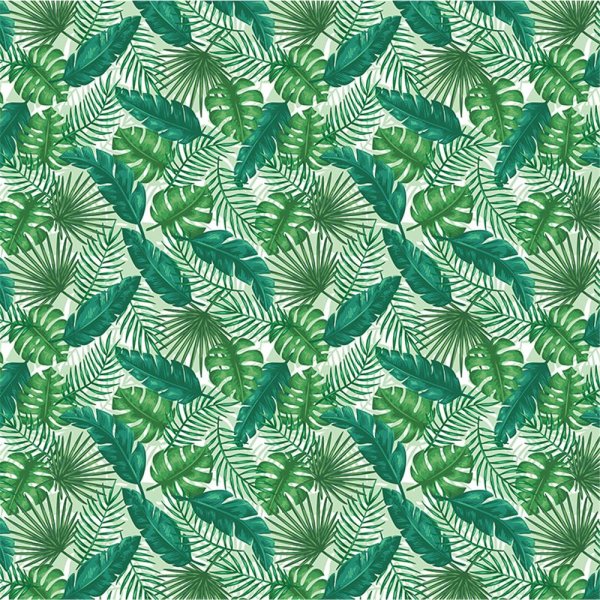 tropical leafes